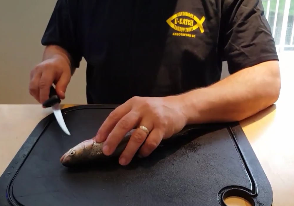 How to Clean a Trout